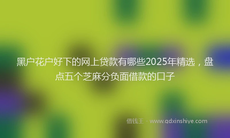 黑户花户好下的网上贷款有哪些2025年精选，盘点五个芝麻分负面借款的口子