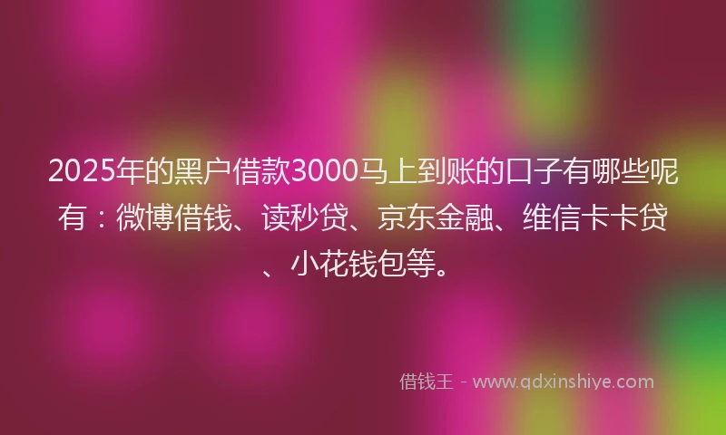 2025年的黑户借款3000马上到账的口子有哪些呢有：微博借钱、读秒贷、京东金融、维信卡卡贷、小花钱包等。