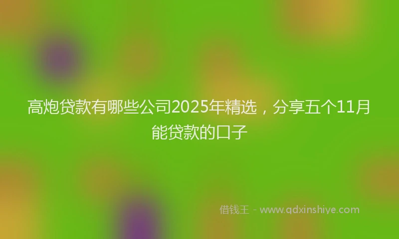 高炮贷款有哪些公司2025年精选，分享五个11月能贷款的口子