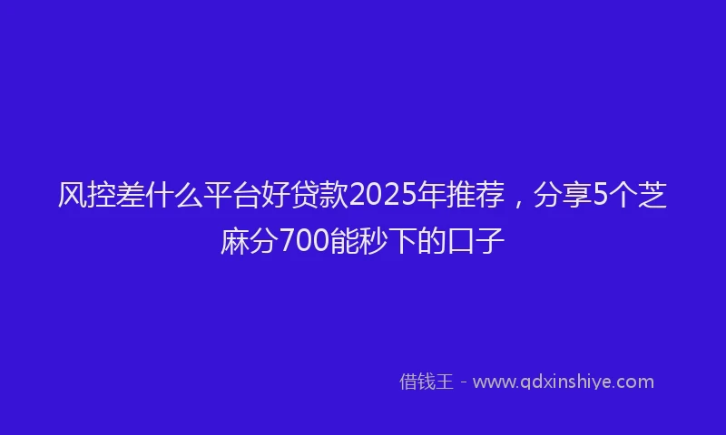 风控差什么平台好贷款2025年推荐,分享5个芝麻分700能秒下的口子