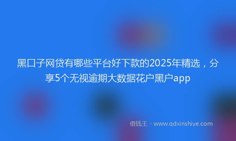 黑口子网贷有哪些平台好下款的2025年精选，分享5个无视逾期大数据花户黑户app