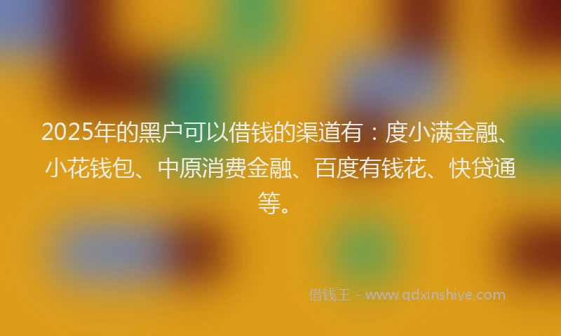2025年的黑户可以借钱的渠道有：度小满金融、小花钱包、中原消费金融、百度有钱花、快贷通等。
