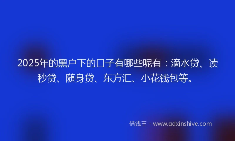 2025年的黑户下的口子有哪些呢有：滴水贷、读秒贷、随身贷、东方汇、小花钱包等。