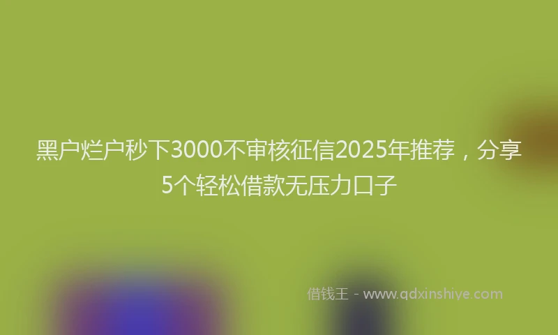 黑户烂户秒下3000不审核征信2025年推荐，分享5个轻松借款无压力口子