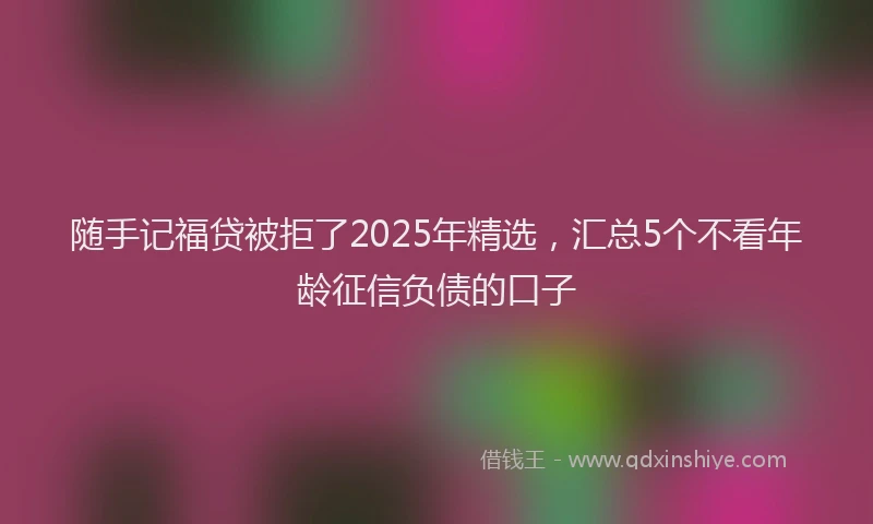 随手记福贷被拒了2025年精选，汇总5个不看年龄征信负债的口子