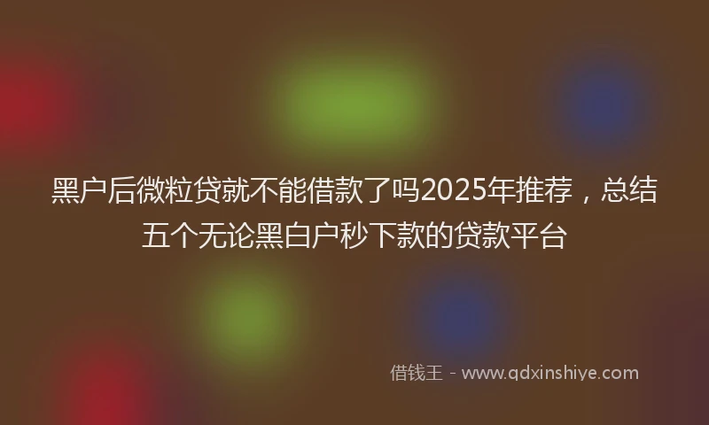 黑户后微粒贷就不能借款了吗2025年推荐，总结五个无论黑白户秒下款的贷款平台