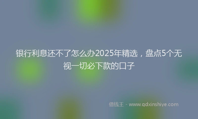 银行利息还不了怎么办2025年精选，盘点5个无视一切必下款的口子