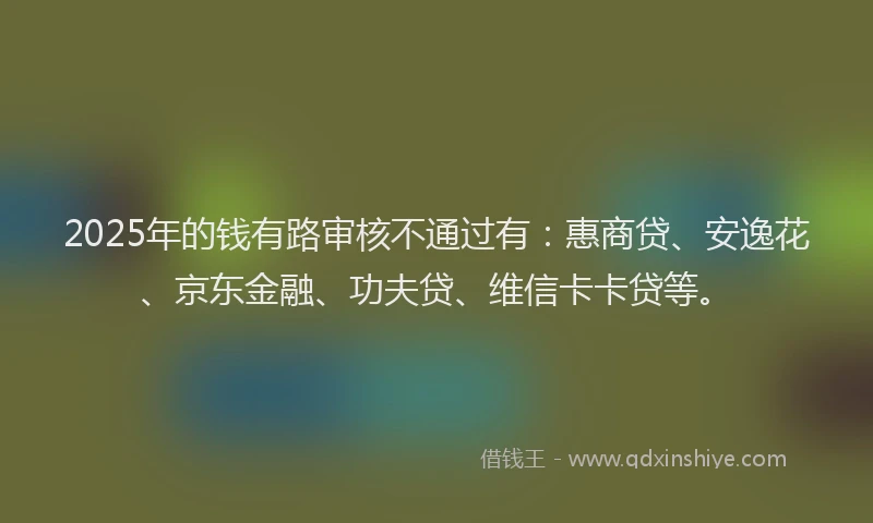 2025年的钱有路审核不通过有：惠商贷、安逸花、京东金融、功夫贷、维信卡卡贷等。