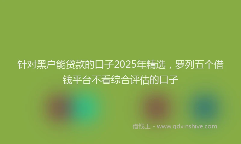 针对黑户能贷款的口子2025年精选，罗列五个借钱平台不看综合评估的口子