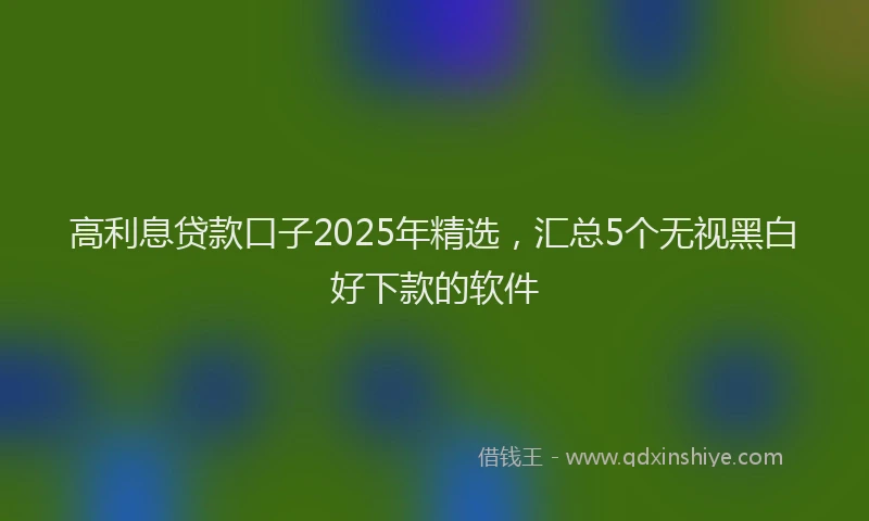 高利息贷款口子2025年精选，汇总5个无视黑白好下款的软件