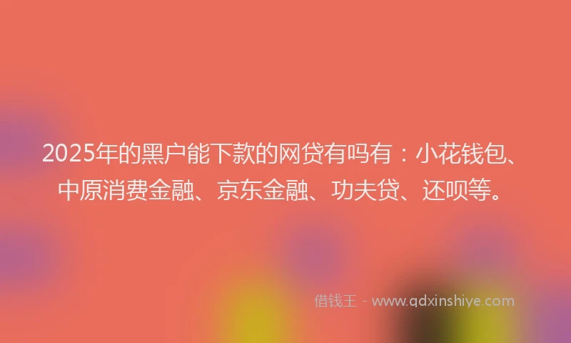 2025年的黑户能下款的网贷有吗有：小花钱包、中原消费金融、京东金融、功夫贷、还呗等。