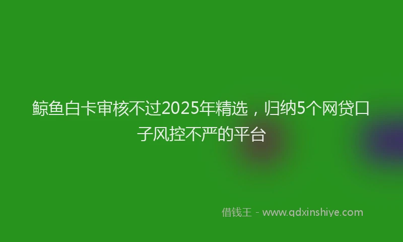 鲸鱼白卡审核不过2025年精选，归纳5个网贷口子风控不严的平台