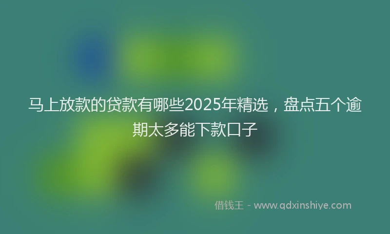 马上放款的贷款有哪些2025年精选，盘点五个逾期太多能下款口子