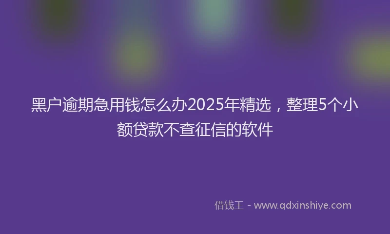 黑户逾期急用钱怎么办2025年精选，整理5个小额贷款不查征信的软件