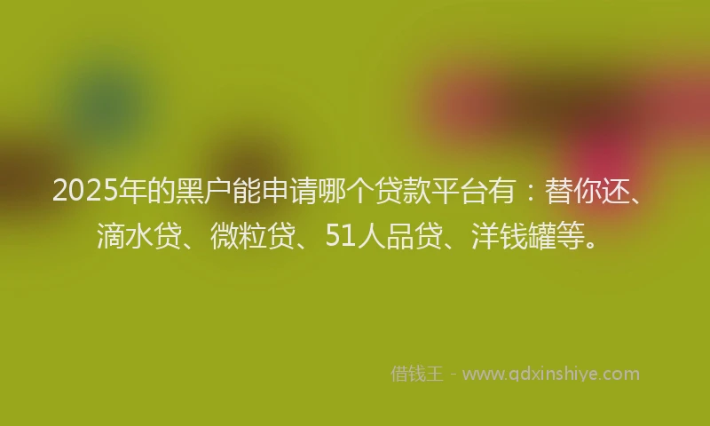 2025年的黑户能申请哪个贷款平台有：替你还、滴水贷、微粒贷、51人品贷、洋钱罐等。