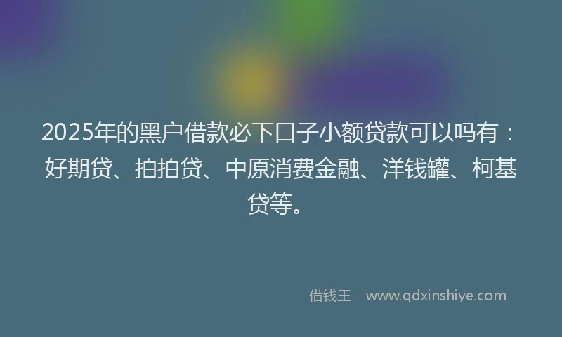 2025年的黑户借款必下口子小额贷款可以吗有：好期贷、拍拍贷、中原消费金融、洋钱罐、柯基贷等。