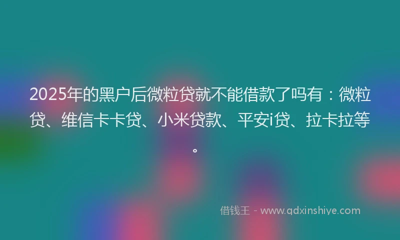 2025年的黑户后微粒贷就不能借款了吗有：微粒贷、维信卡卡贷、小米贷款、平安i贷、拉卡拉等。