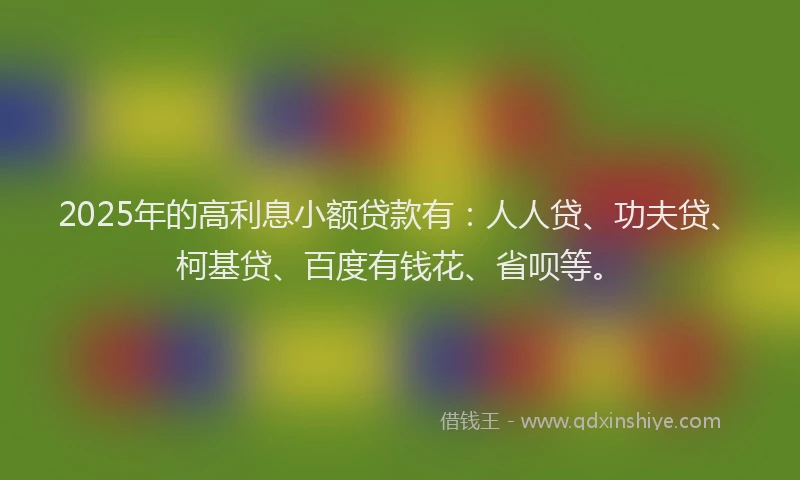 2025年的高利息小额贷款有：人人贷、功夫贷、柯基贷、百度有钱花、省呗等。