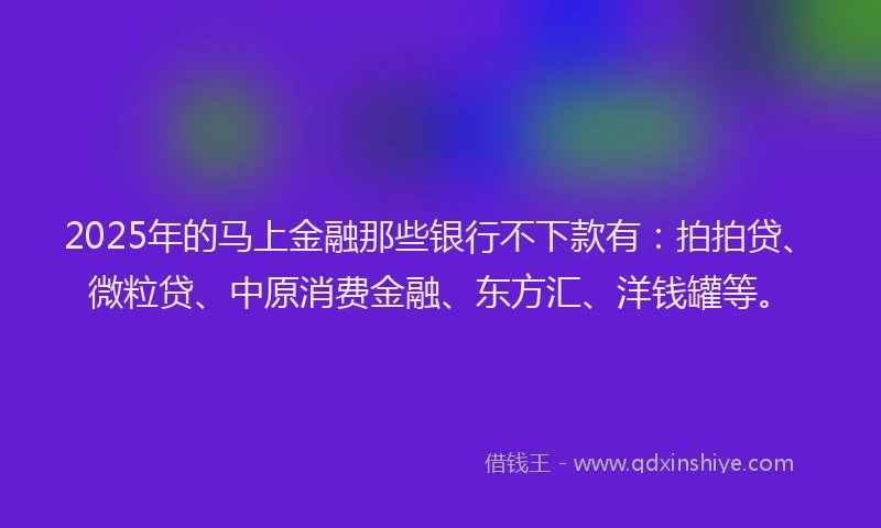 2025年的马上金融那些银行不下款有：拍拍贷、微粒贷、中原消费金融、东方汇、洋钱罐等。