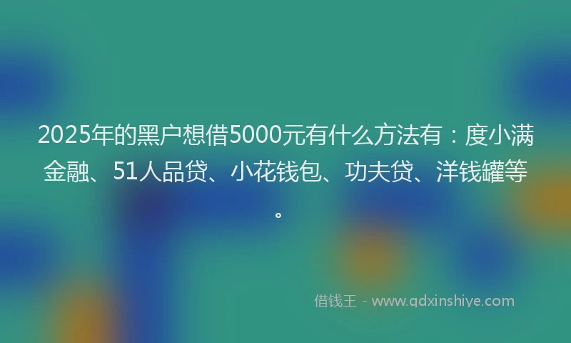 2025年的黑户想借5000元有什么方法有：度小满金融、51人品贷、小花钱包、功夫贷、洋钱罐等。