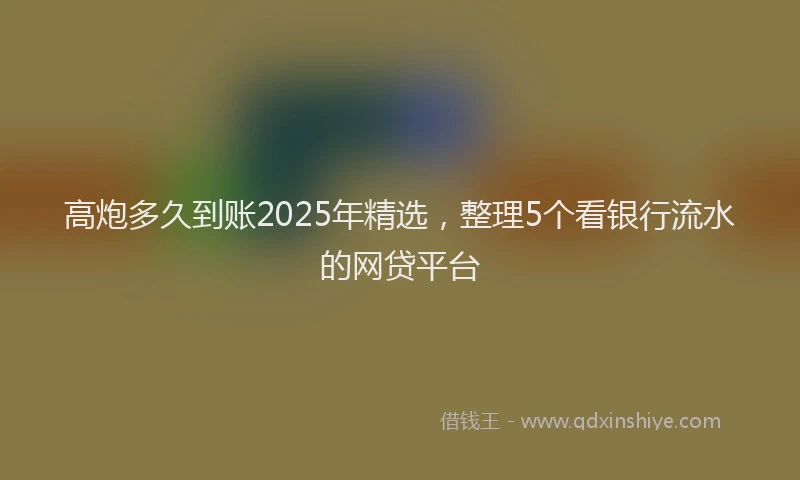 高炮多久到账2025年精选，整理5个看银行流水的网贷平台