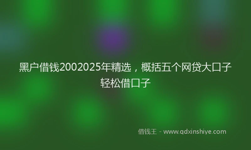 黑户借钱2002025年精选，概括五个网贷大口子轻松借口子