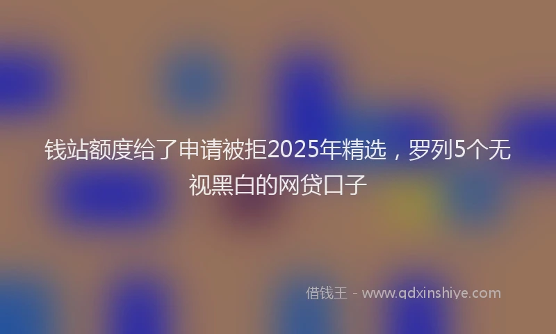 钱站额度给了申请被拒2025年精选，罗列5个无视黑白的网贷口子
