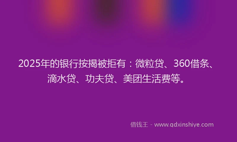 2025年的银行按揭被拒有：微粒贷、360借条、滴水贷、功夫贷、美团生活费等。