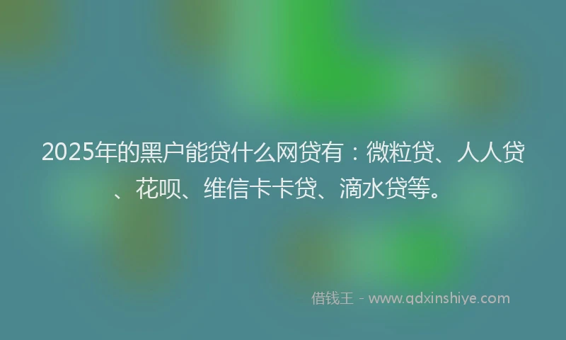 2025年的黑户能贷什么网贷有：微粒贷、人人贷、花呗、维信卡卡贷、滴水贷等。