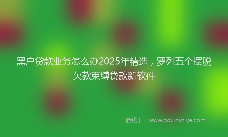 黑户贷款业务怎么办2025年精选，罗列五个摆脱欠款束缚贷款新软件