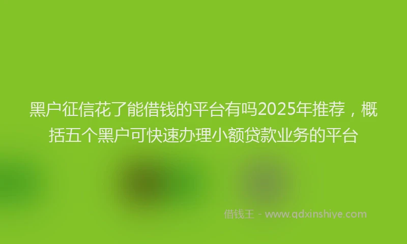 黑户征信花了能借钱的平台有吗2025年推荐，概括五个黑户可快速办理小额贷款业务的平台