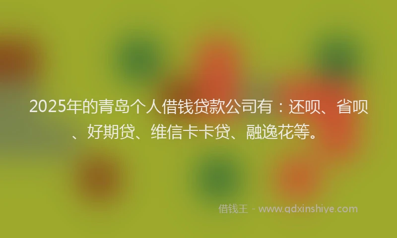 2025年的青岛个人借钱贷款公司有：还呗、省呗、好期贷、维信卡卡贷、融逸花等。