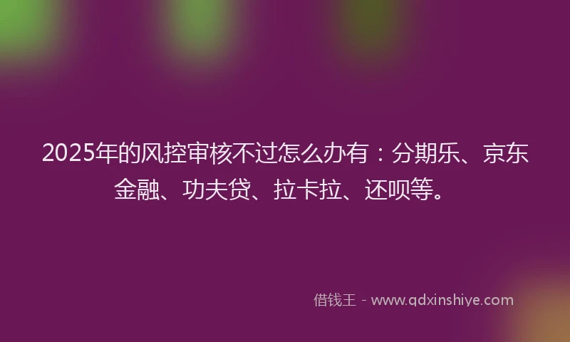 2025年的风控审核不过怎么办有：分期乐、京东金融、功夫贷、拉卡拉、还呗等。