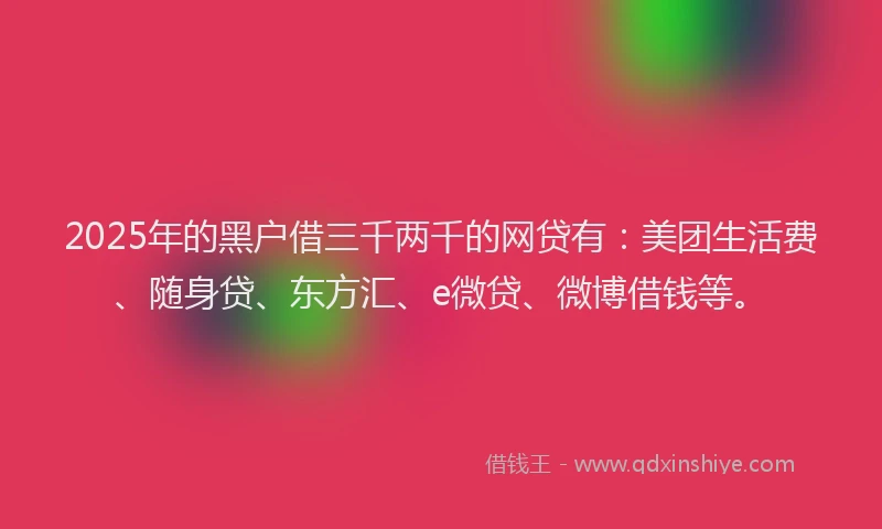 2025年的黑户借三千两千的网贷有：美团生活费、随身贷、东方汇、e微贷、微博借钱等。