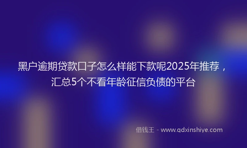 黑户逾期贷款口子怎么样能下款呢2025年推荐，汇总5个不看年龄征信负债的平台