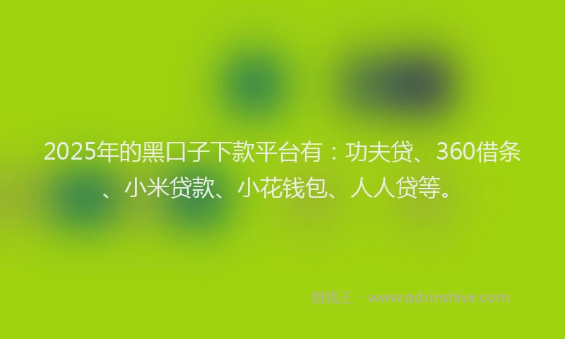 2025年的黑口子下款平台有：功夫贷、360借条、小米贷款、小花钱包、人人贷等。