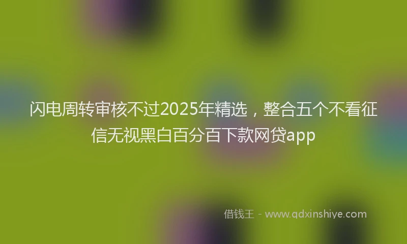 闪电周转审核不过2025年精选，整合五个不看征信无视黑白百分百下款网贷app