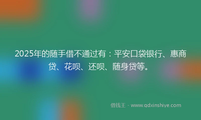 2025年的随手借不通过有：平安口袋银行、惠商贷、花呗、还呗、随身贷等。
