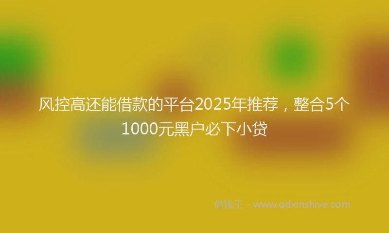 风控高还能借款的平台2025年推荐，整合5个1000元黑户必下小贷