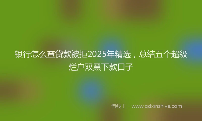 银行怎么查贷款被拒2025年精选，总结五个超级烂户双黑下款口子