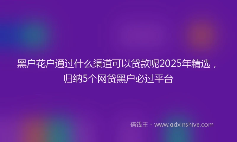 黑户花户通过什么渠道可以贷款呢2025年精选，归纳5个网贷黑户必过平台