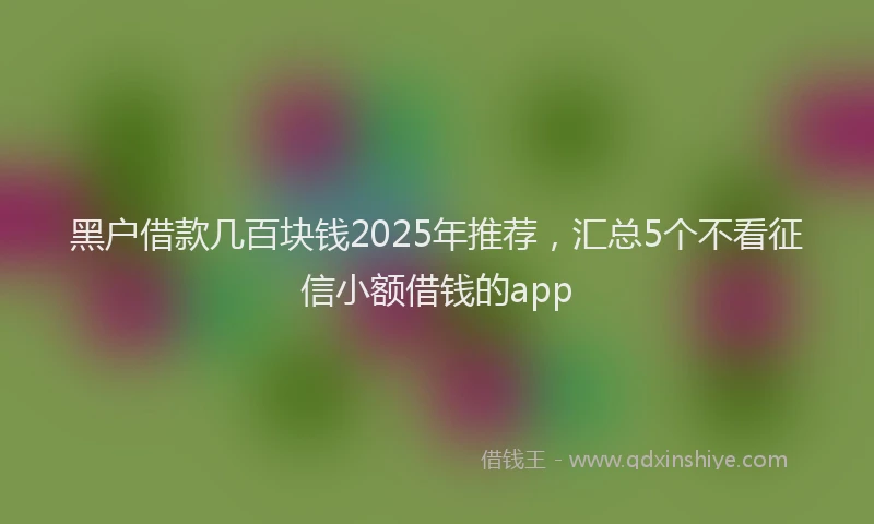 黑户借款几百块钱2025年推荐，汇总5个不看征信小额借钱的app