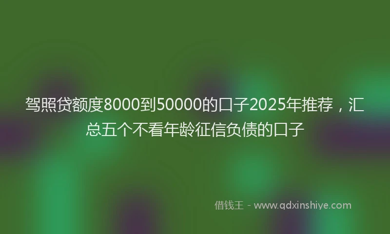 驾照贷额度8000到50000的口子2025年推荐，汇总五个不看年龄征信负债的口子