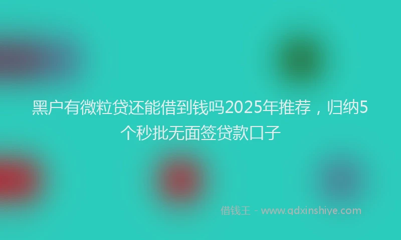 黑户有微粒贷还能借到钱吗2025年推荐，归纳5个秒批无面签贷款口子