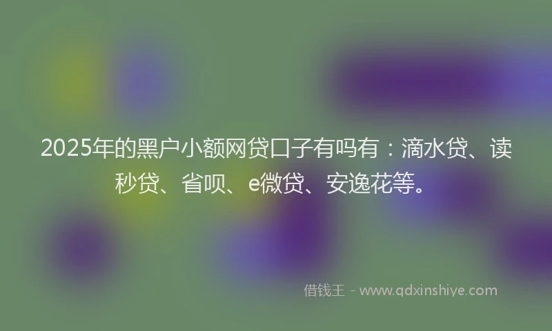 2025年的黑户小额网贷口子有吗有：滴水贷、读秒贷、省呗、e微贷、安逸花等。