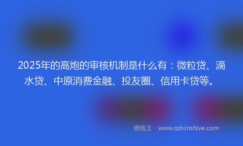 2025年的高炮的审核机制是什么有：微粒贷、滴水贷、中原消费金融、投友圈、信用卡贷等。