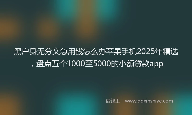 黑户身无分文急用钱怎么办苹果手机2025年精选，盘点五个1000至5000的小额贷款app