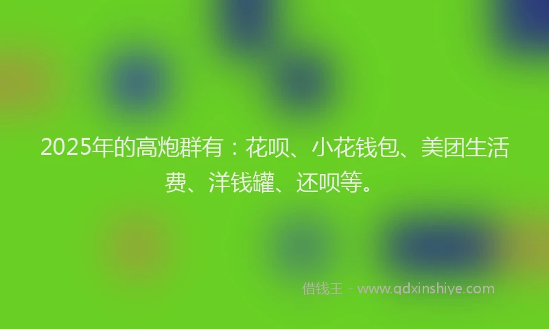2025年的高炮群有：花呗、小花钱包、美团生活费、洋钱罐、还呗等。