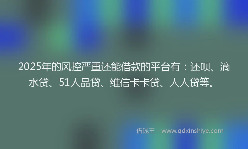 2025年的风控严重还能借款的平台有：还呗、滴水贷、51人品贷、维信卡卡贷、人人贷等。