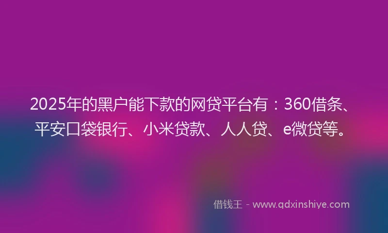 2025年的黑户能下款的网贷平台有：360借条、平安口袋银行、小米贷款、人人贷、e微贷等。